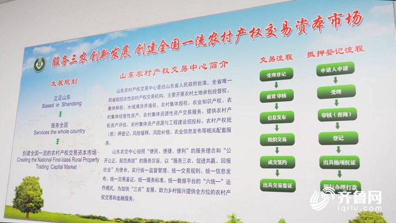 股权交易中心:金融市场的隐形之手